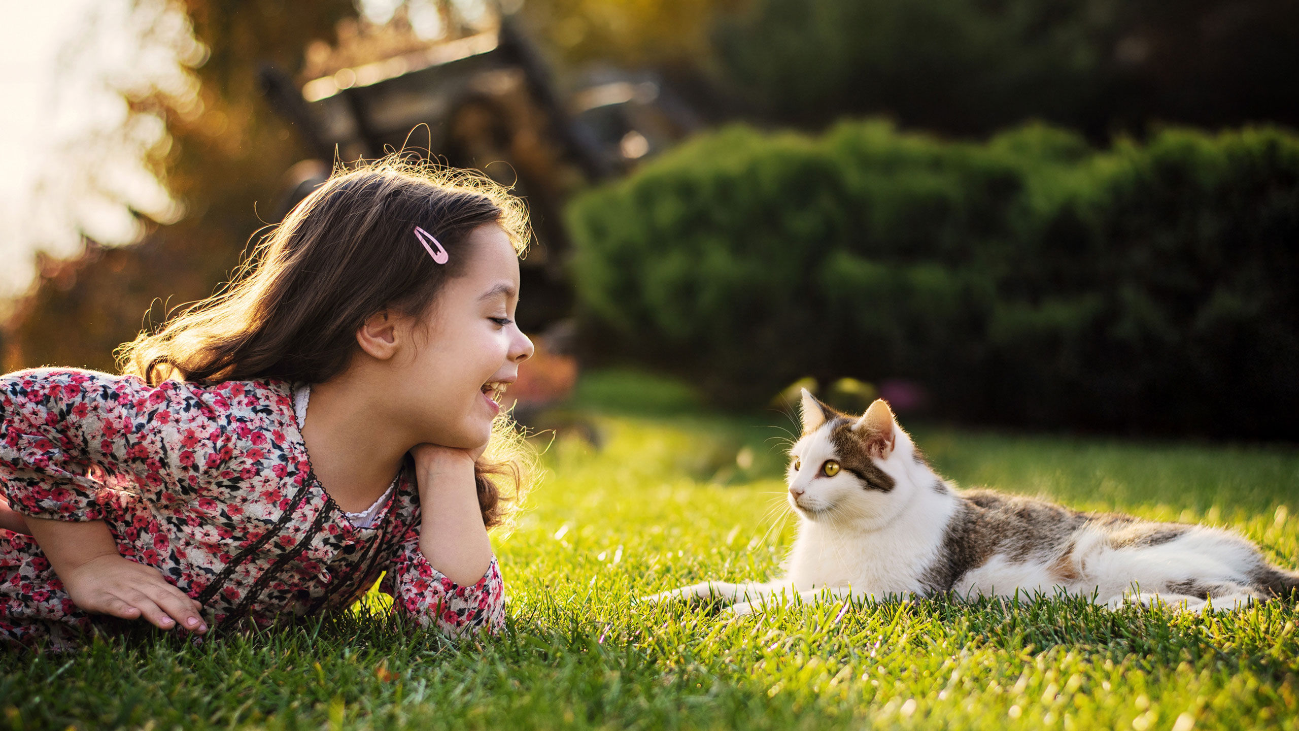 Portrait A Life in Brilliant Balance